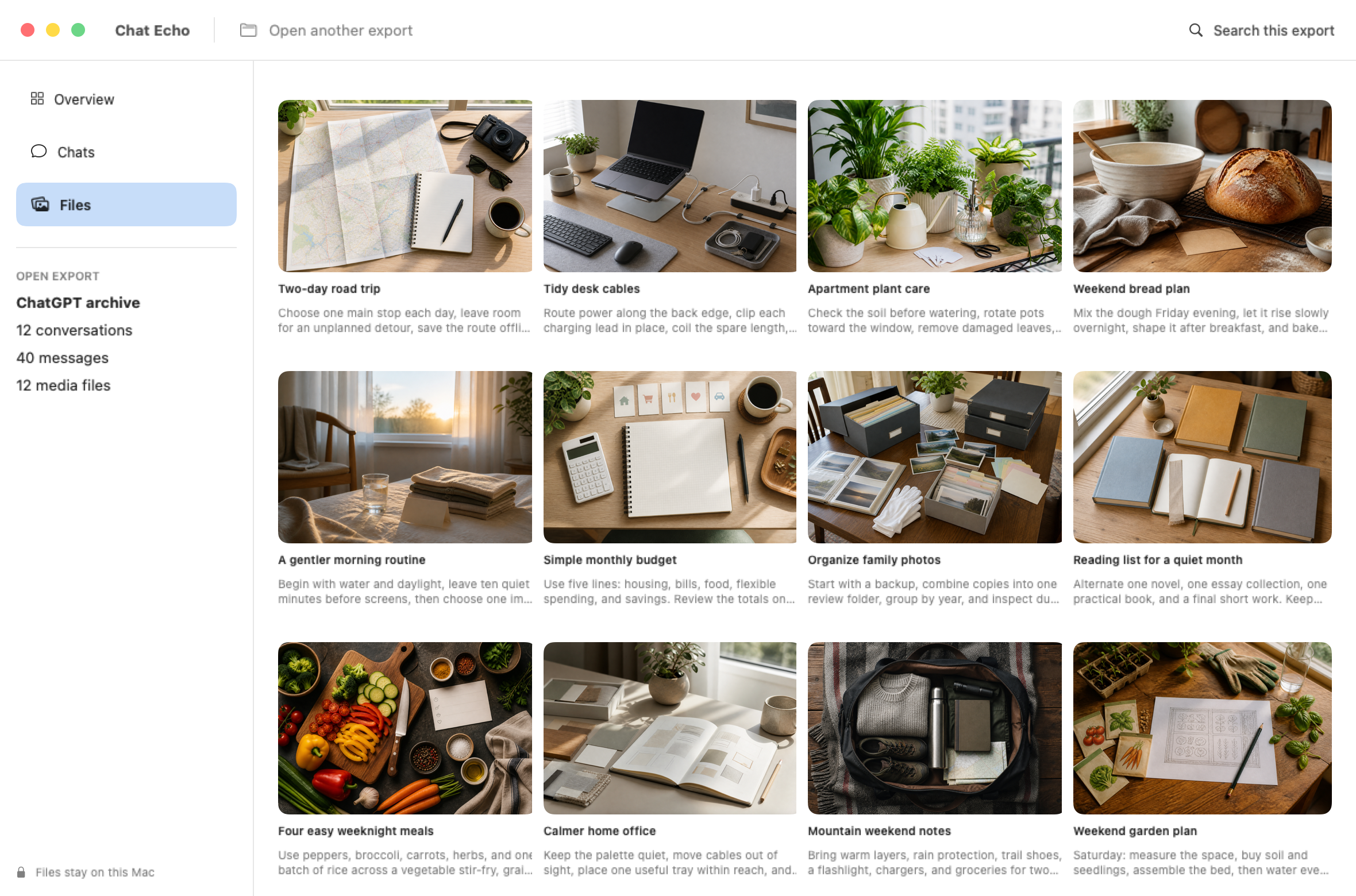 Chat Echo showing a media gallery